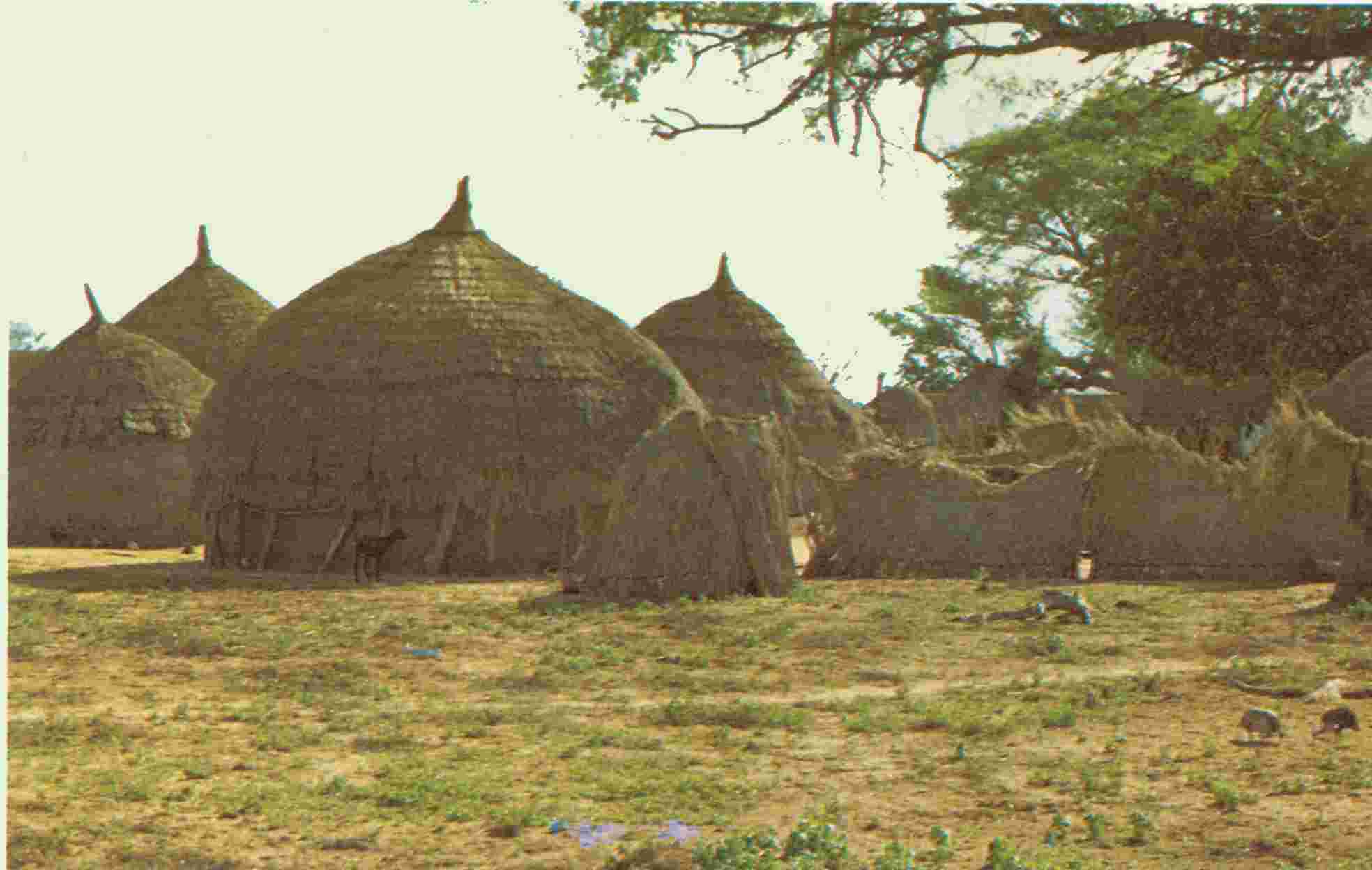 habitat typique des zarma